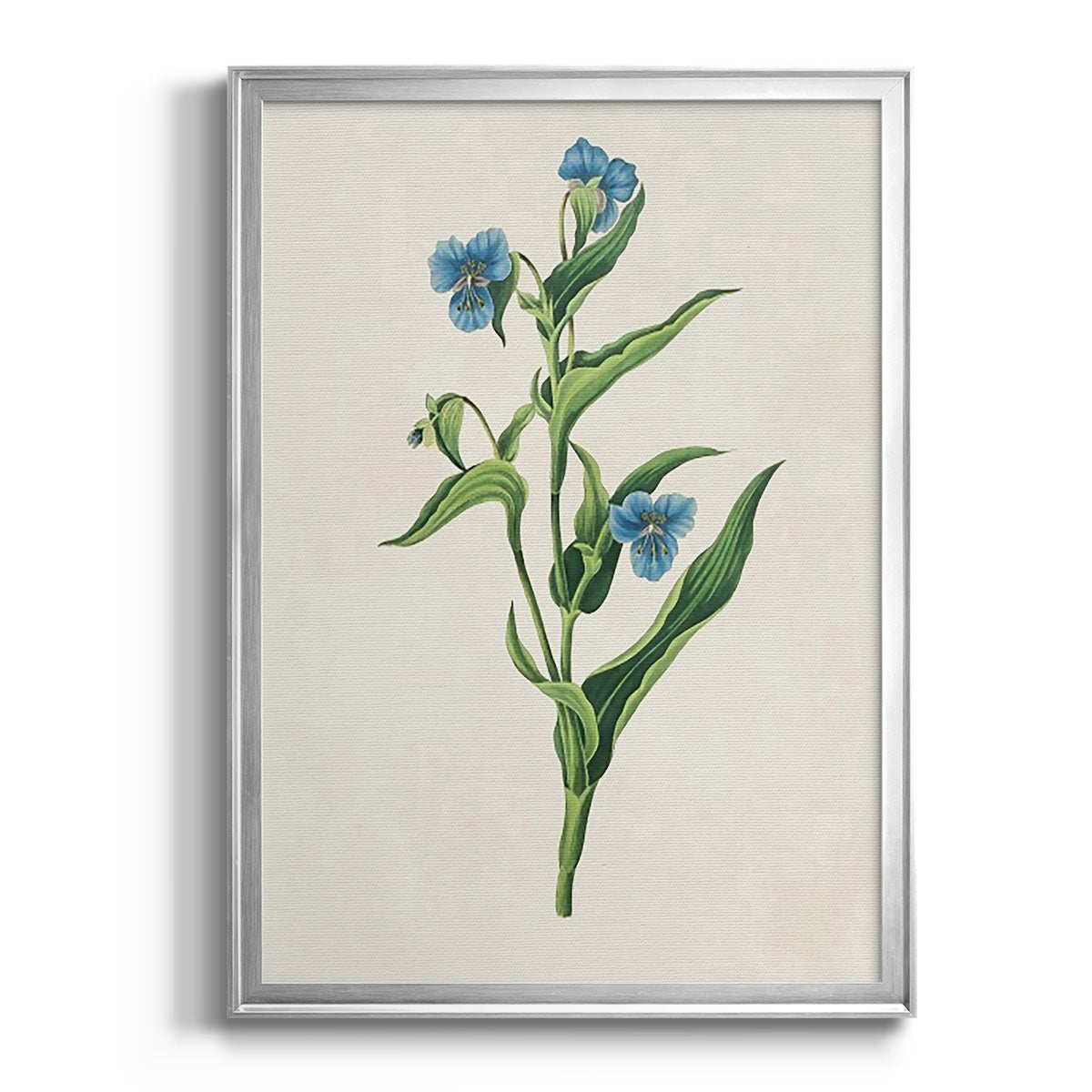 Flowers of the Seasons V - Modern Framed Canvas Print