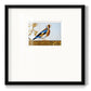 Golden Finch Premium Framed Print Double Matboard