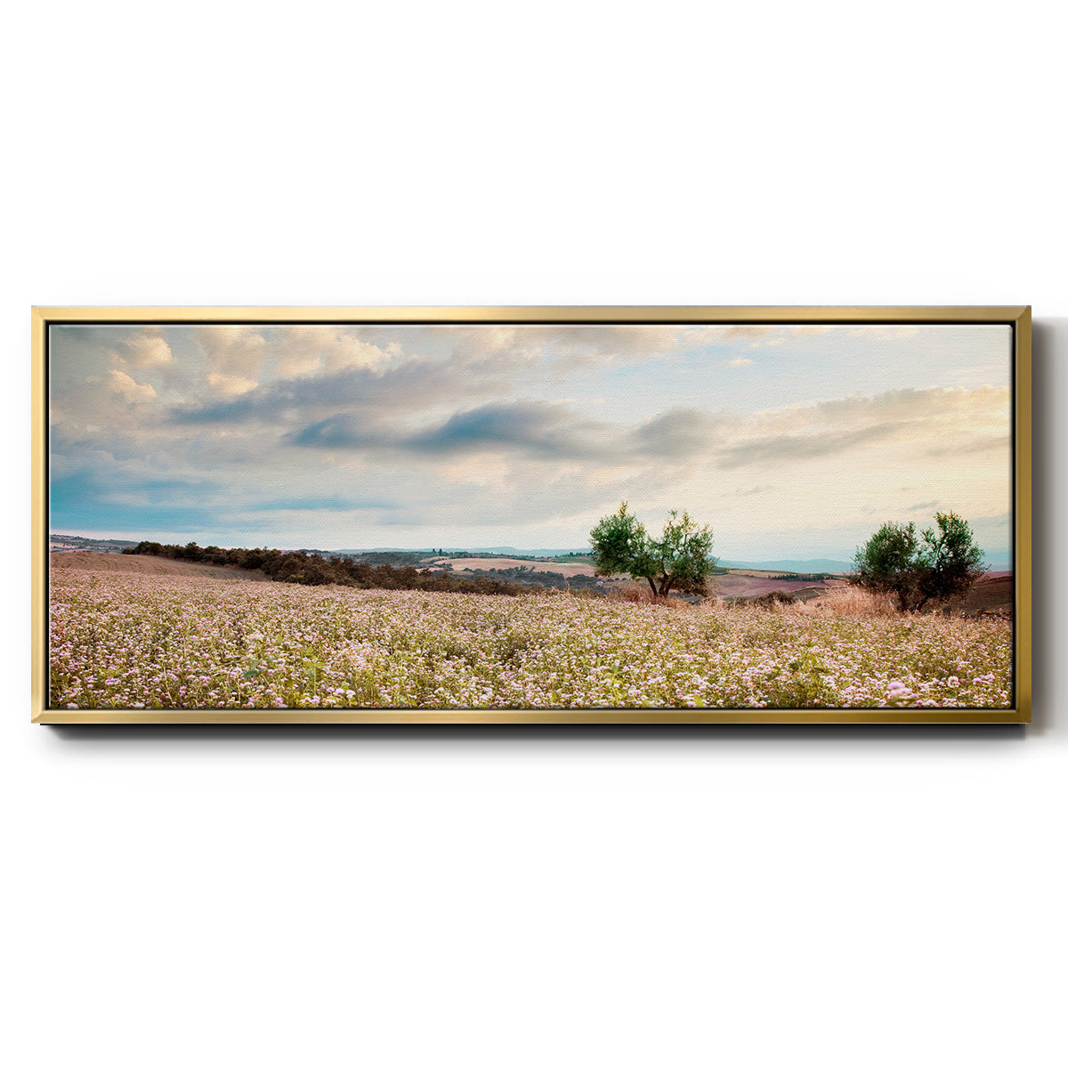 Tuscan Wildflowers - Floater Framed Canvas Print