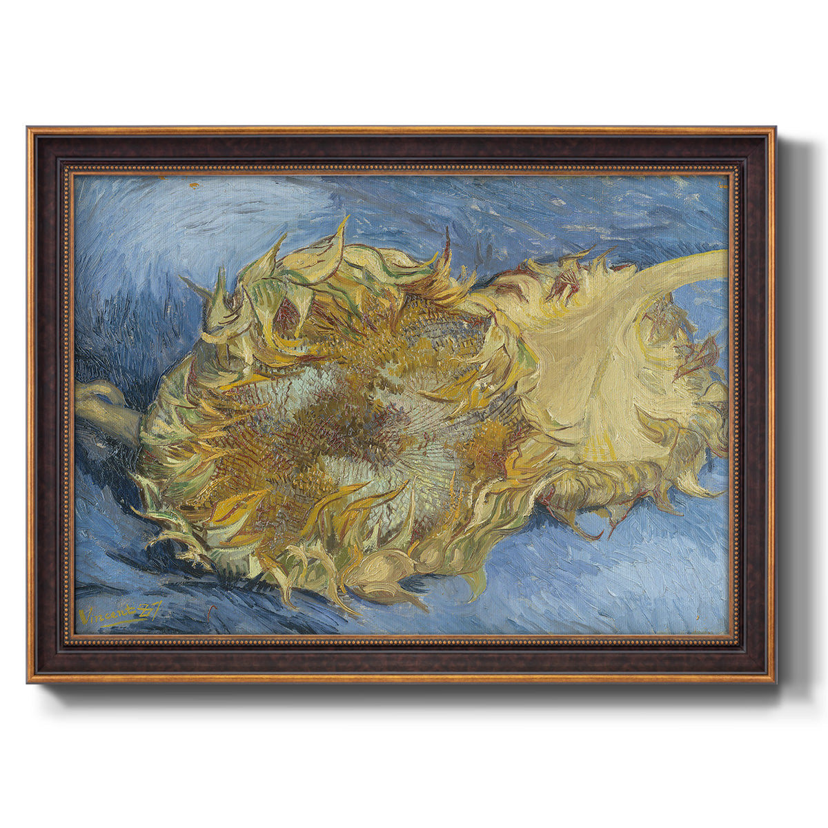 Two Cut Sunflowers - Ornate Framed Canvas Print