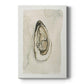 Soft Half Shell I Premium Gallery Wrapped Canvas - Ready to Hang