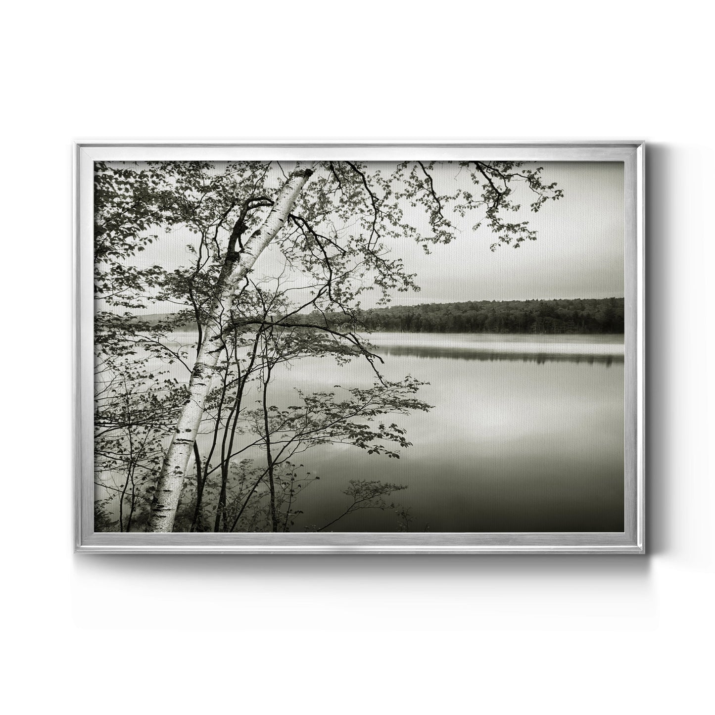 Adirondack Reflections - Modern Framed Canvas Print