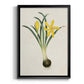 Flowers of the Seasons VI - Modern Framed Canvas Print