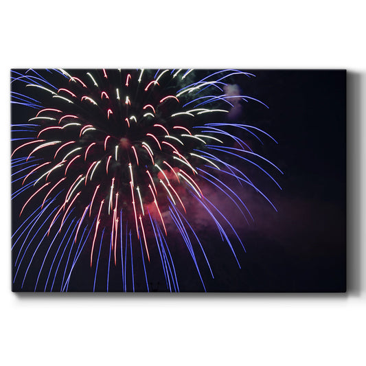 Sky Flower - Canvas Art Print