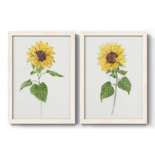 Sunflower I - Barnwood Framed Canvas Set