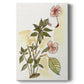 Impatiens Study Premium Gallery Wrapped Canvas - Ready to Hang