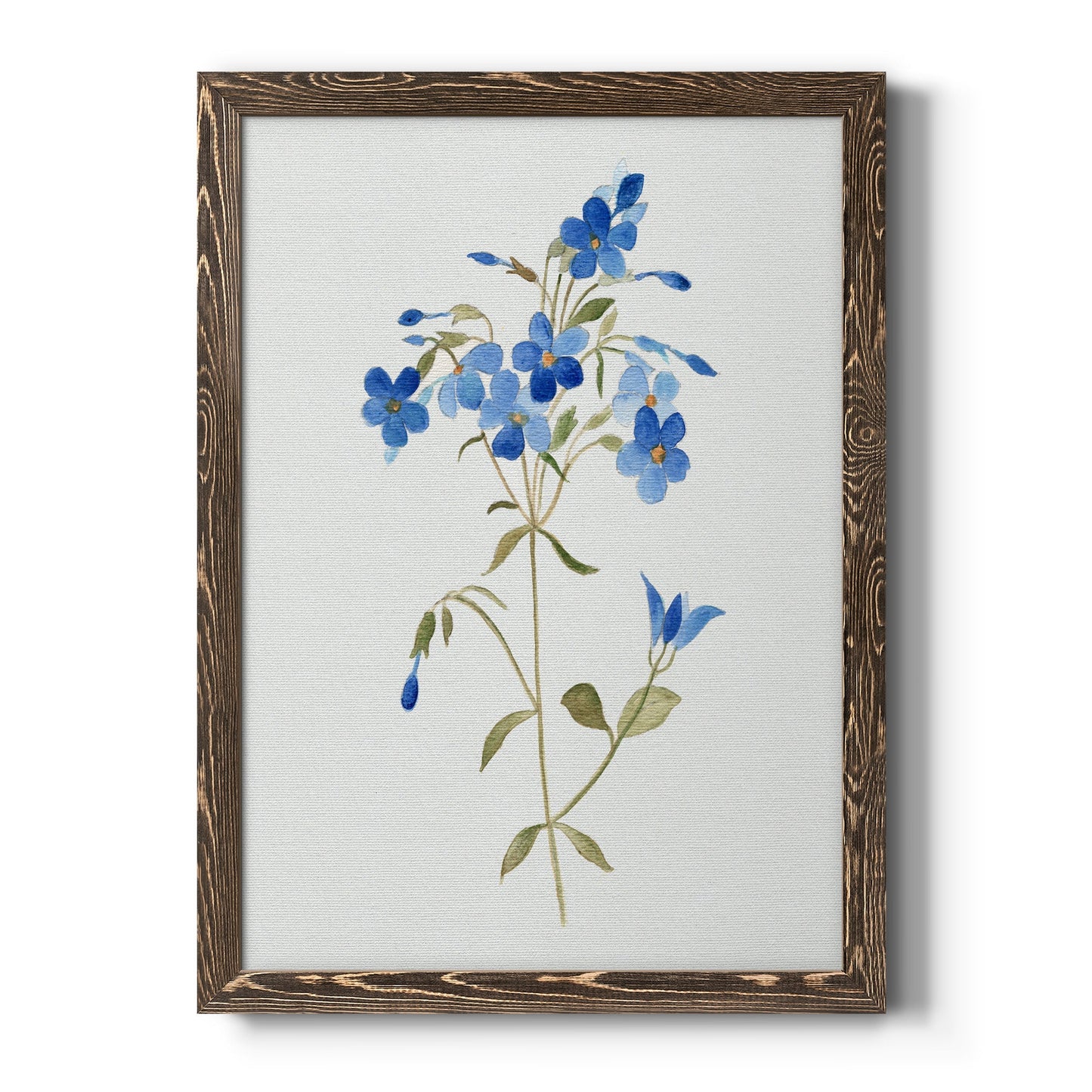 Blue Blossom Botanical II - Barnwood Framed Canvas Print