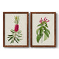 Pretty Pink Botanicals VII - Premium Framed Canvas 2 Piece Set - Ready to Hang