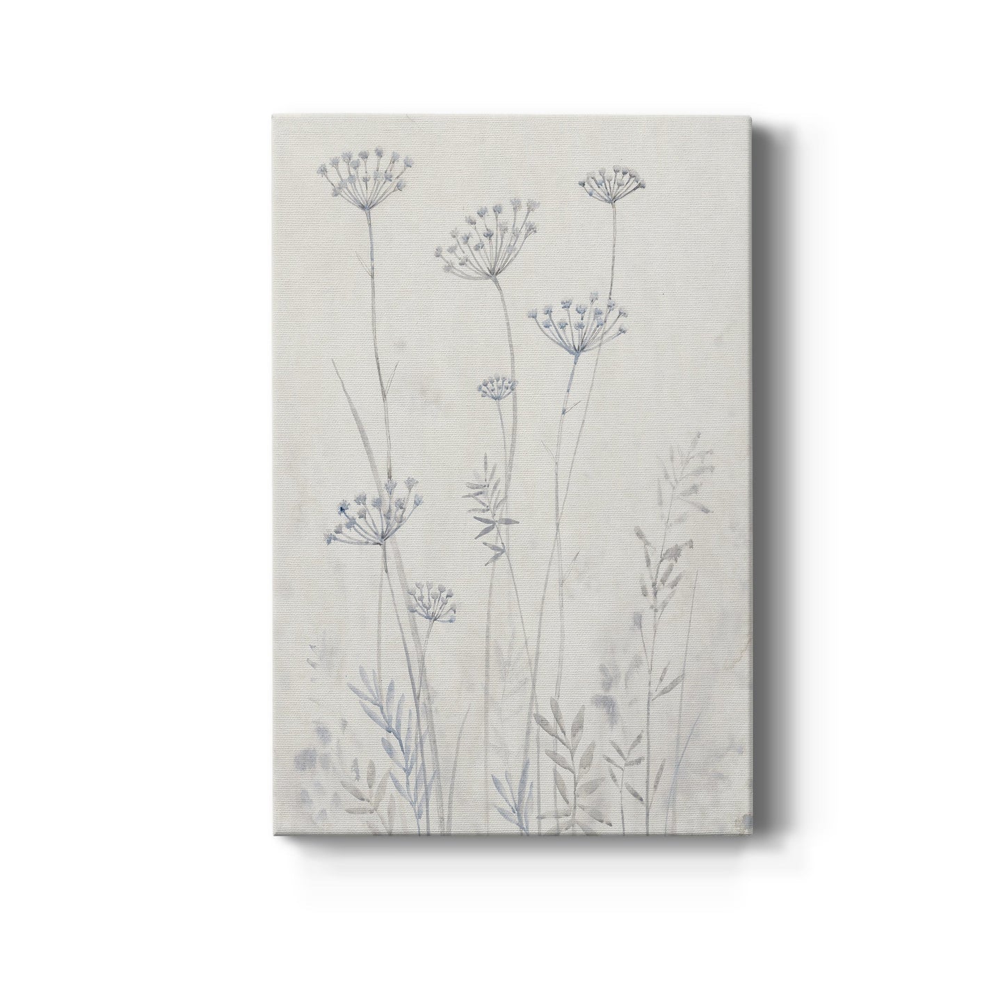 Neutral Queen Anne's Lace II Premium Gallery Wrapped Canvas - Ready to Hang