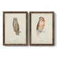 Scops- Eared Owl - Premium Framed Canvas 2 Piece Set - Ready to Hang