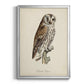 French Owls III - Modern Framed Canvas Print