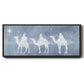 Star of Bethlehem Collection D - Floater Framed Canvas Print