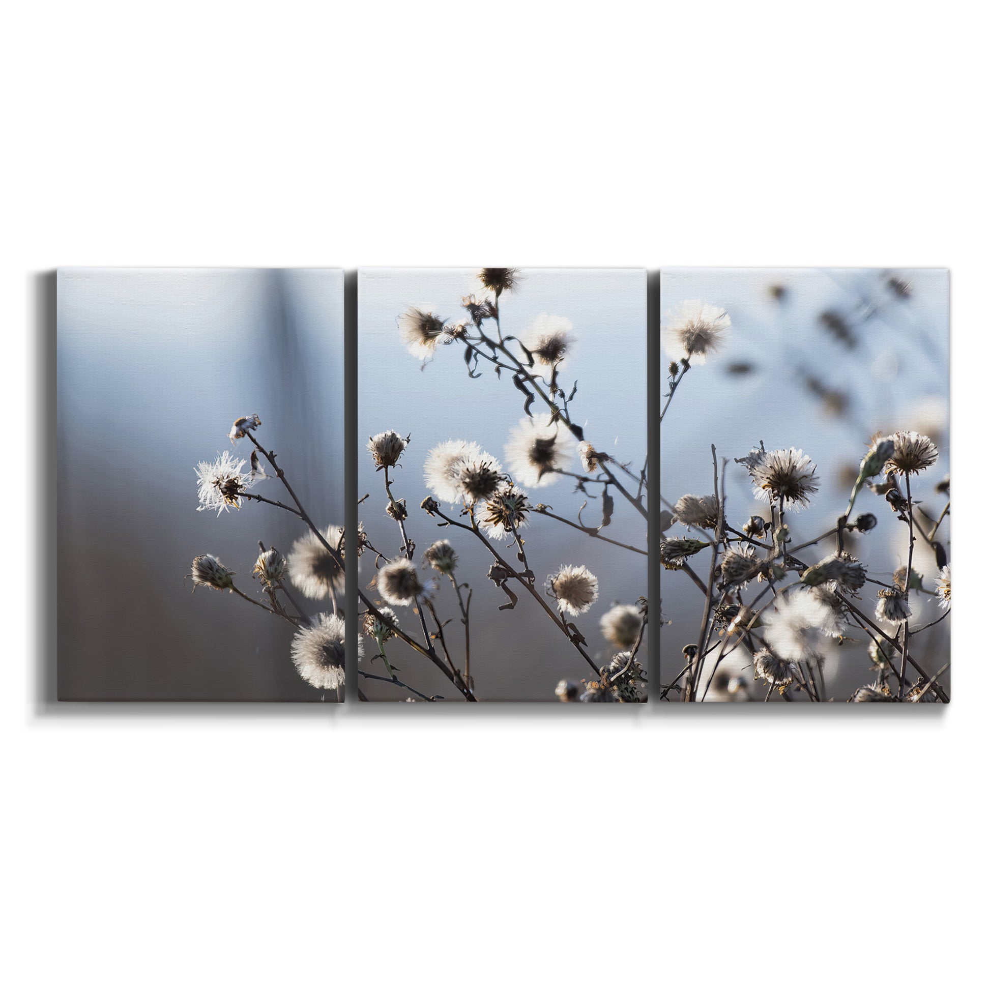 Three-panel canvas wall art featuring delicate spring blossoms on branches on white background.