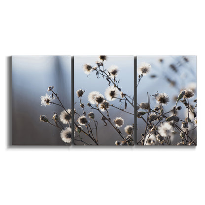 Three-panel canvas wall art featuring delicate spring blossoms on branches on white background.