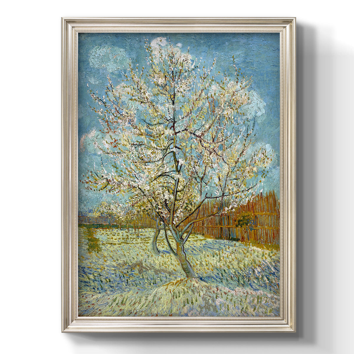  The Pink Peach Tree - Ornate Framed Canvas Print
