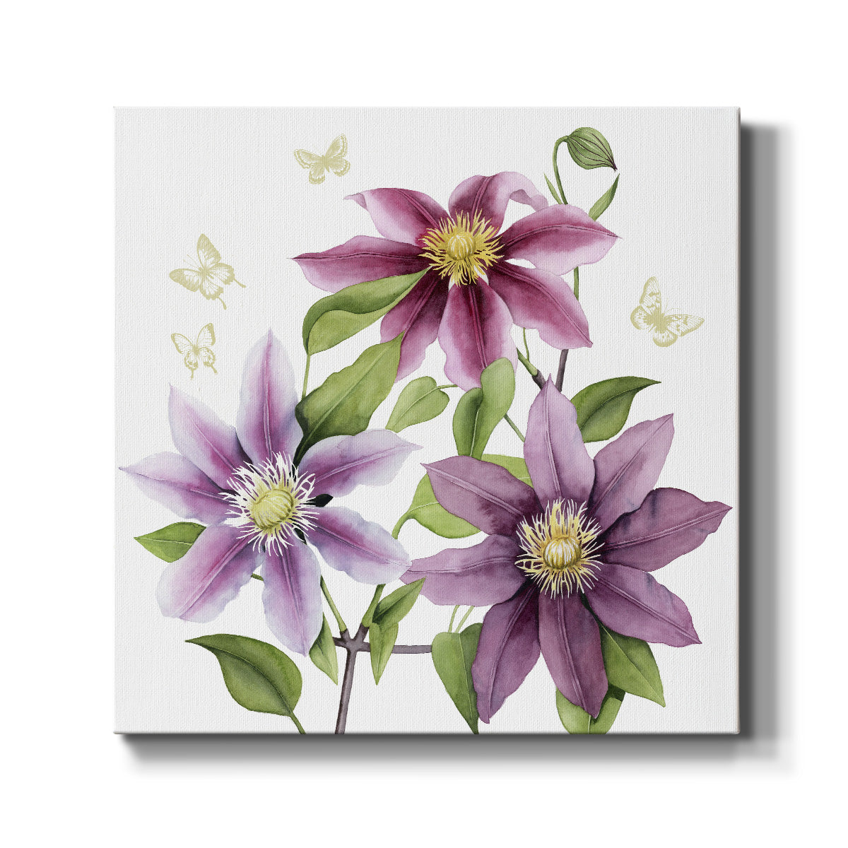 Clematis Climb II - Canvas Art Print