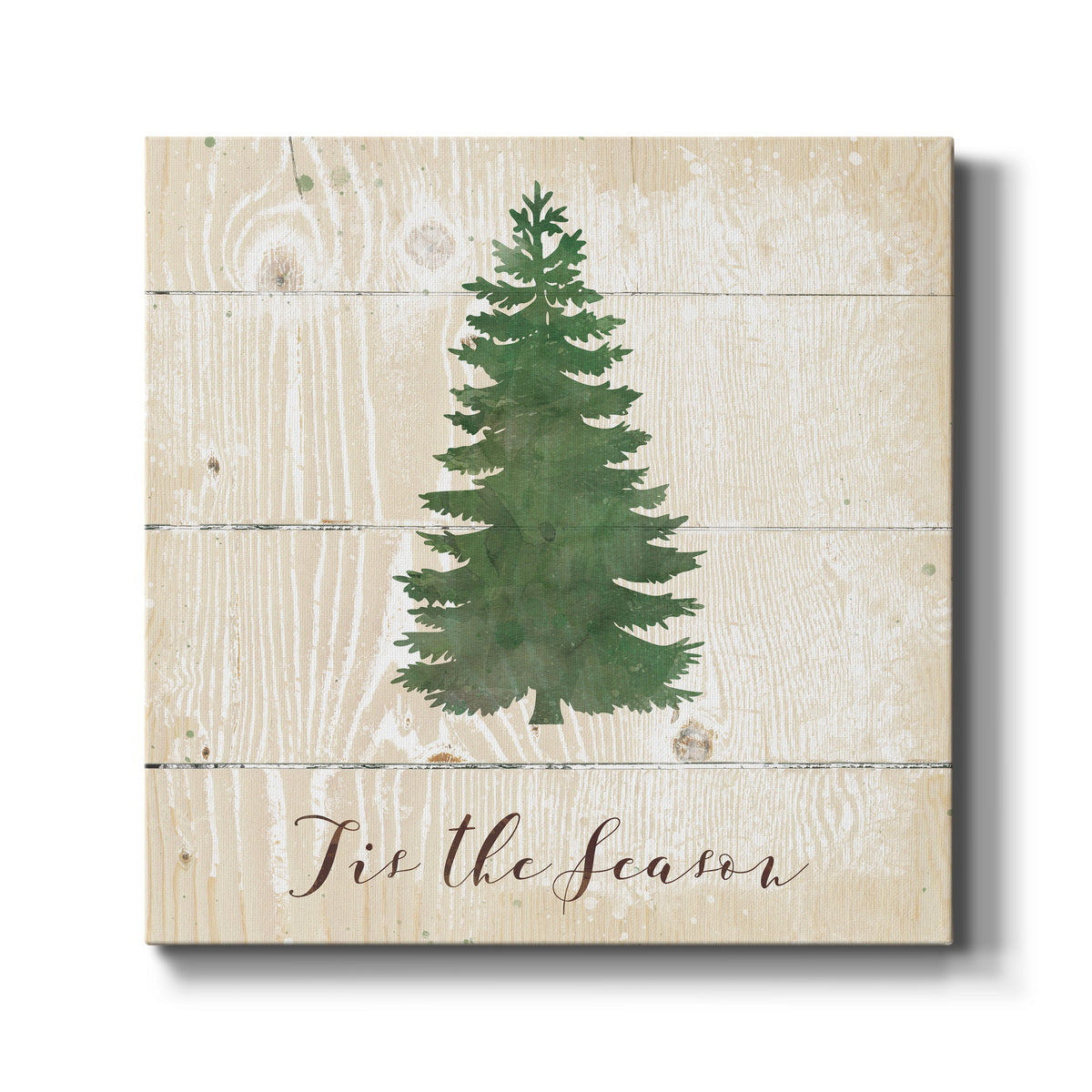 Tis the Season Pine-Premium Gallery Wrapped Canvas - Ready to Hang