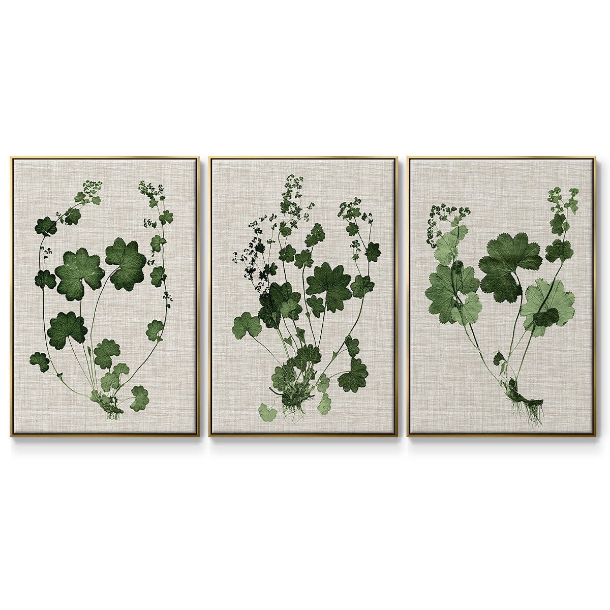 Forest Foliage on Linen I - Framed Premium Gallery Wrapped Canvas L Frame 3 Piece Set - Ready to Hang