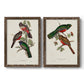 Elegant Trogons V - Premium Framed Canvas 2 Piece Set - Ready to Hang