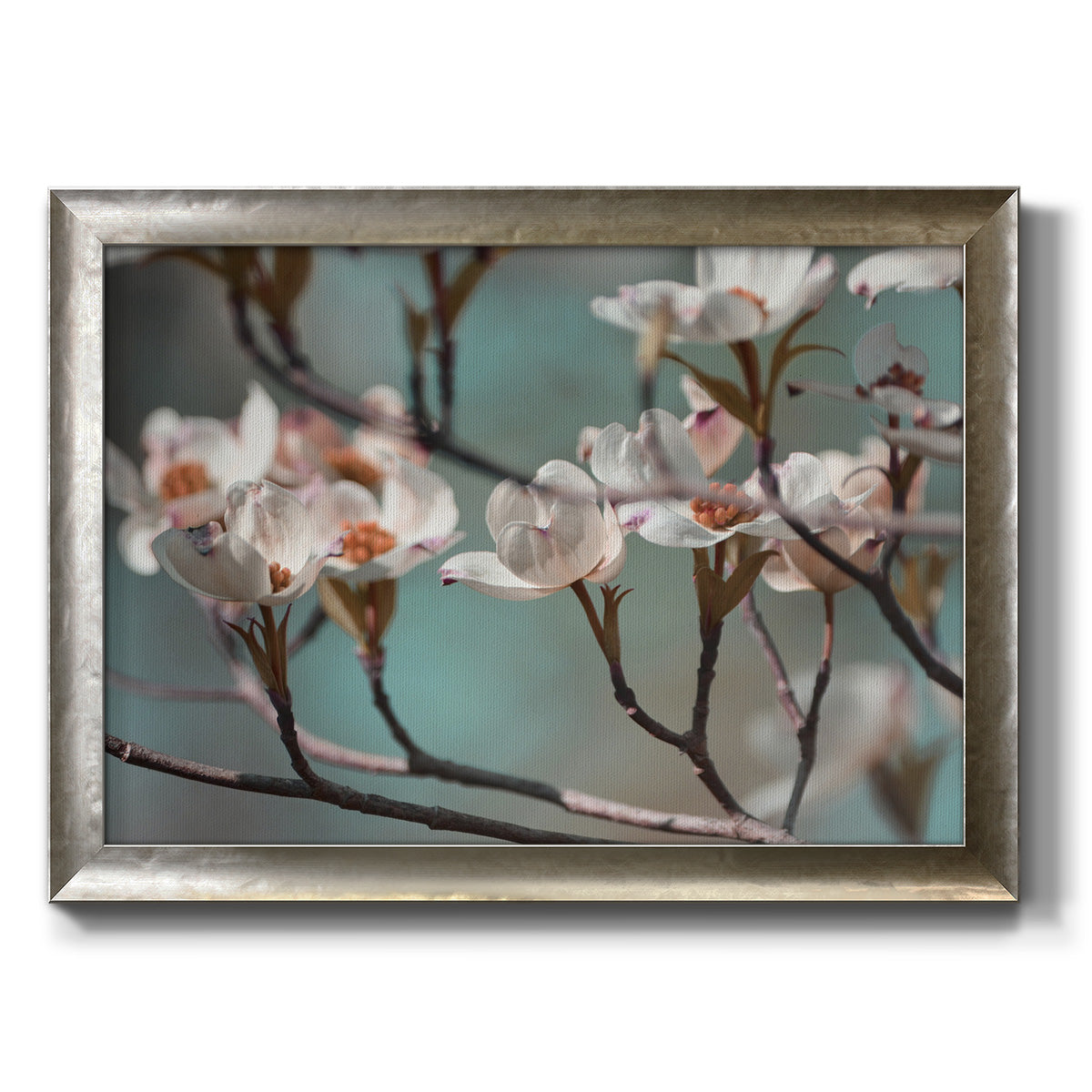 Dogwood Spring IV Premium Framed Canvas- Ready to Hang