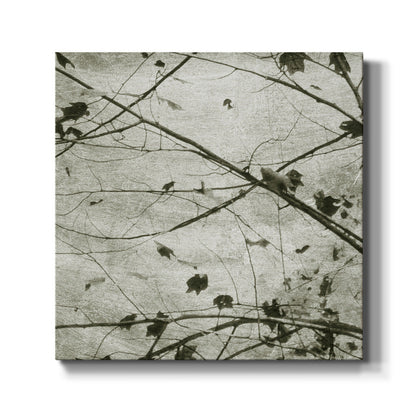 Laced Sky IV - Canvas Art Print