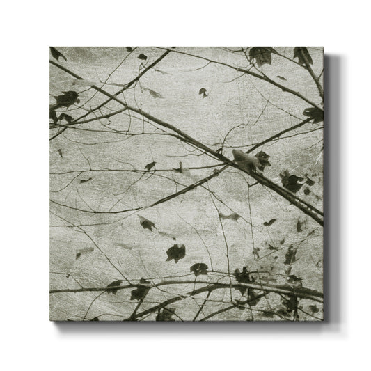 Laced Sky IV - Canvas Art Print