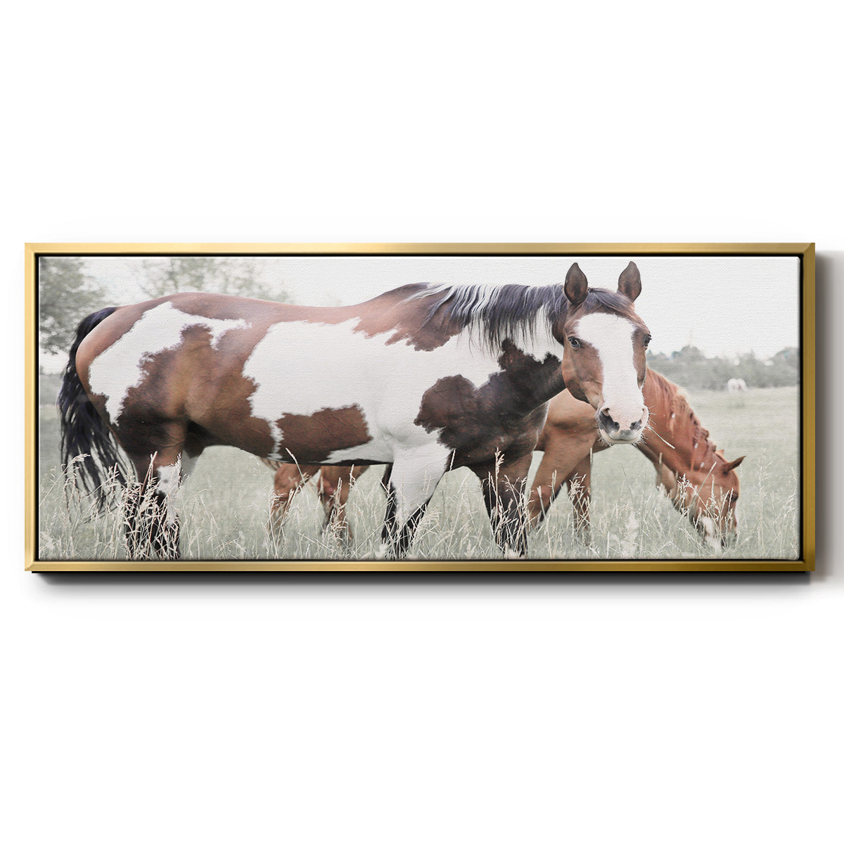 Grazin' - Floater Framed Canvas Print