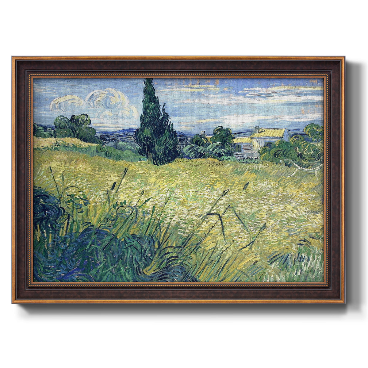 Green Wheat Field with Cypress - Ornate Framed Canvas Print