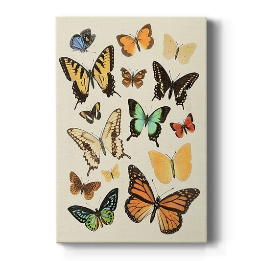 Collected Flutter I Premium Gallery Wrapped Canvas - Ready to Hang