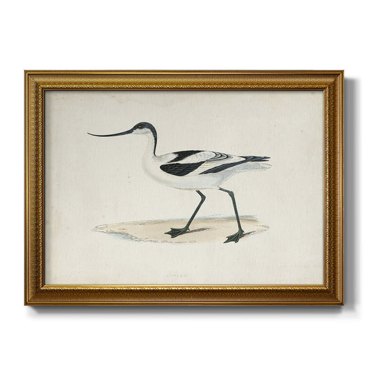 Morris Sandpipers IV Premium Framed Canvas- Ready to Hang