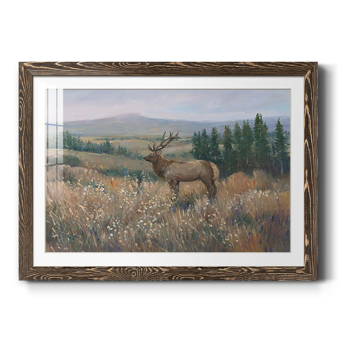 Western Wildlife II - Barnwood Framed Art Print