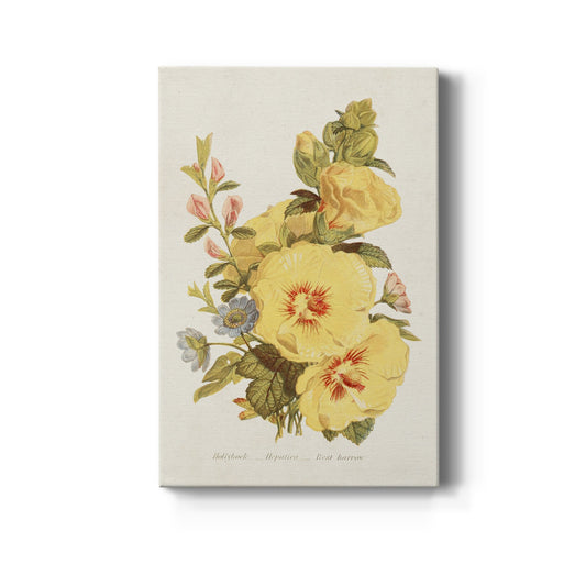 Antique Floral Bouquet VI Premium Gallery Wrapped Canvas - Ready to Hang