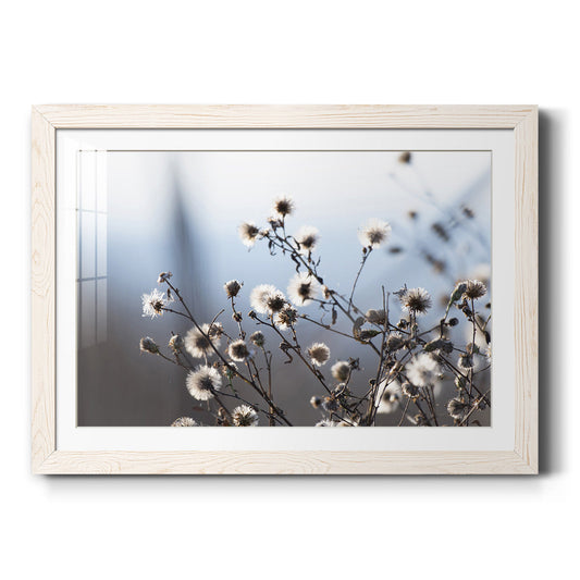 Spring Fluff - Barnwood Framed Art Print