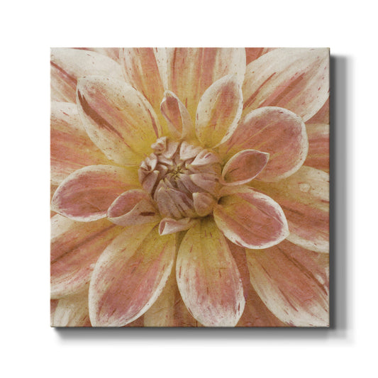 Wall Flower V-Premium Gallery Wrapped Canvas - Ready to Hang