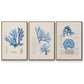 Blue Marine Algae IV - Floater Framed Canvas Set