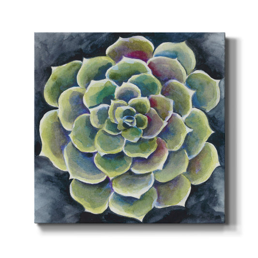 Succulent Rosette II - Canvas Art Print