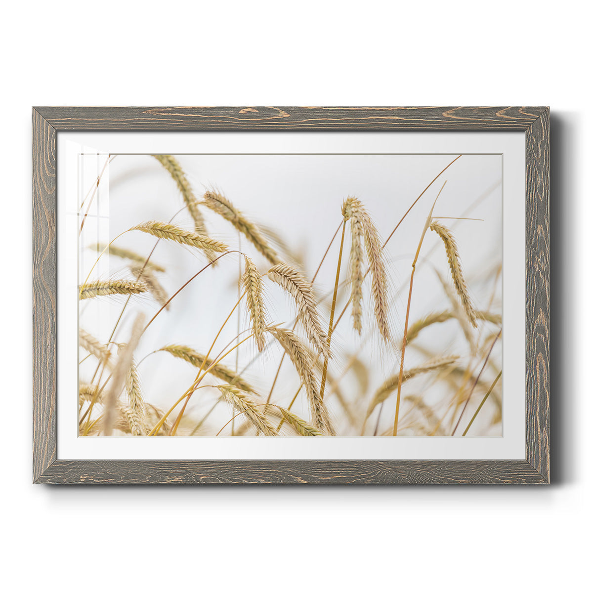 Wheat - Barnwood Framed Art Print