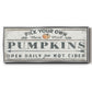 Pumpkin Patch I - Floater Framed Canvas Print