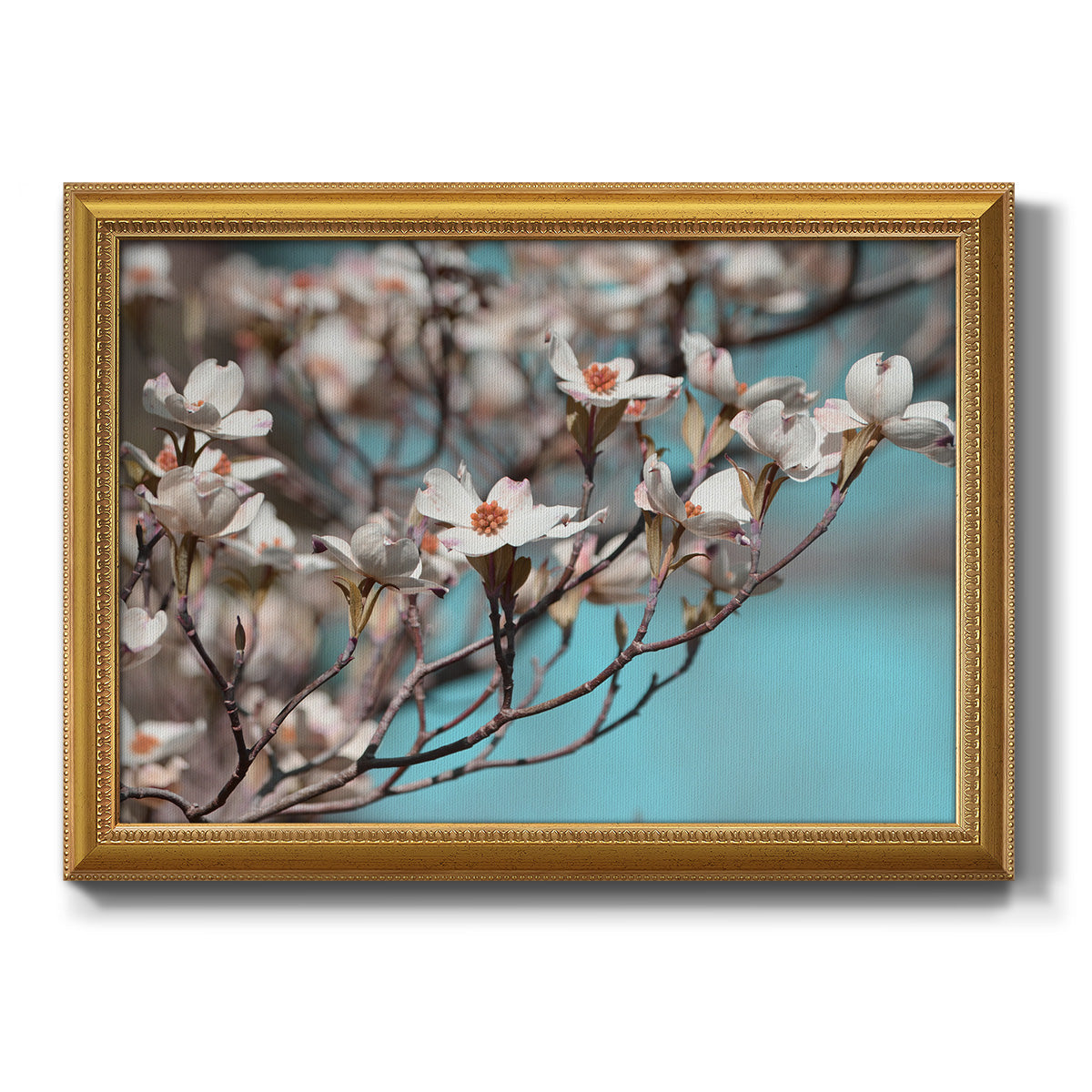 Dogwood Spring III Premium Framed Canvas- Ready to Hang