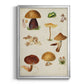 Mushroom Species II - Modern Framed Canvas Print