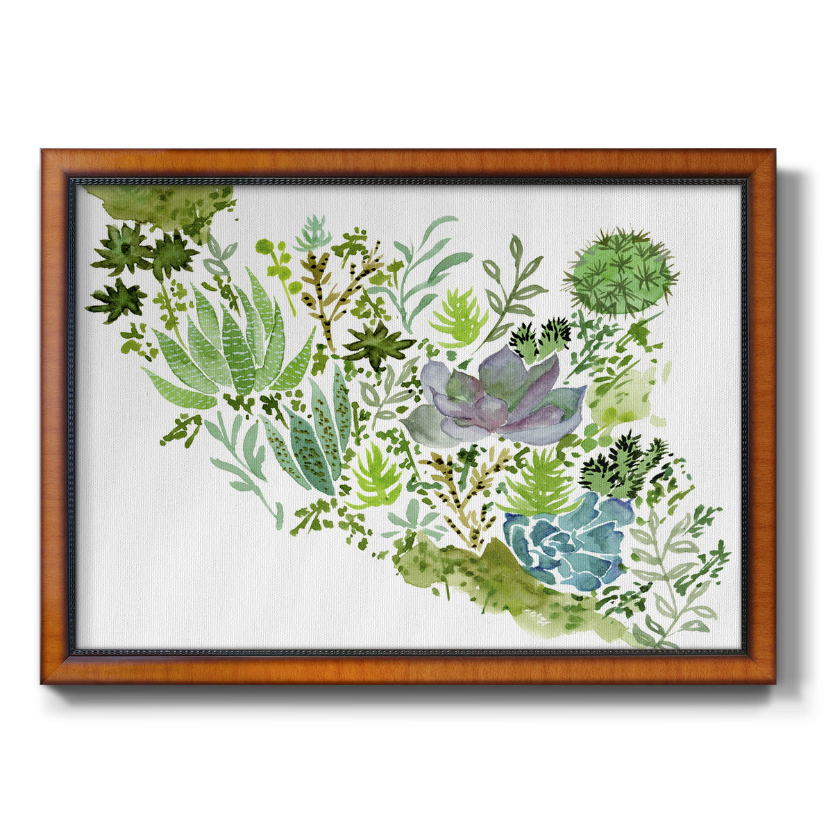 Succulent Field II - Ornate Framed Canvas Print