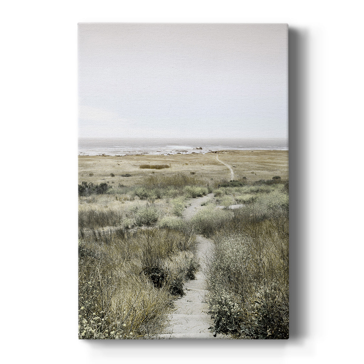 Footpath to Paradise Premium Gallery Wrapped Canvas - Ready to Hang