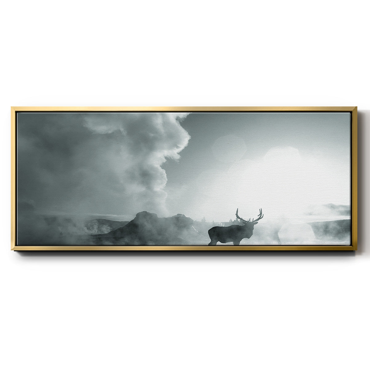 Majestic Moment - Floater Framed Canvas Print