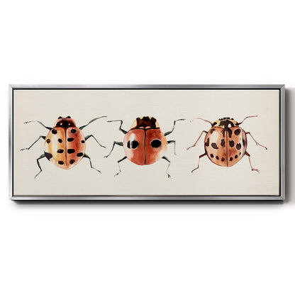 Ladybug Display II - Floater Framed Canvas Print