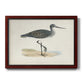 Morris Sandpipers III Premium Framed Canvas- Ready to Hang