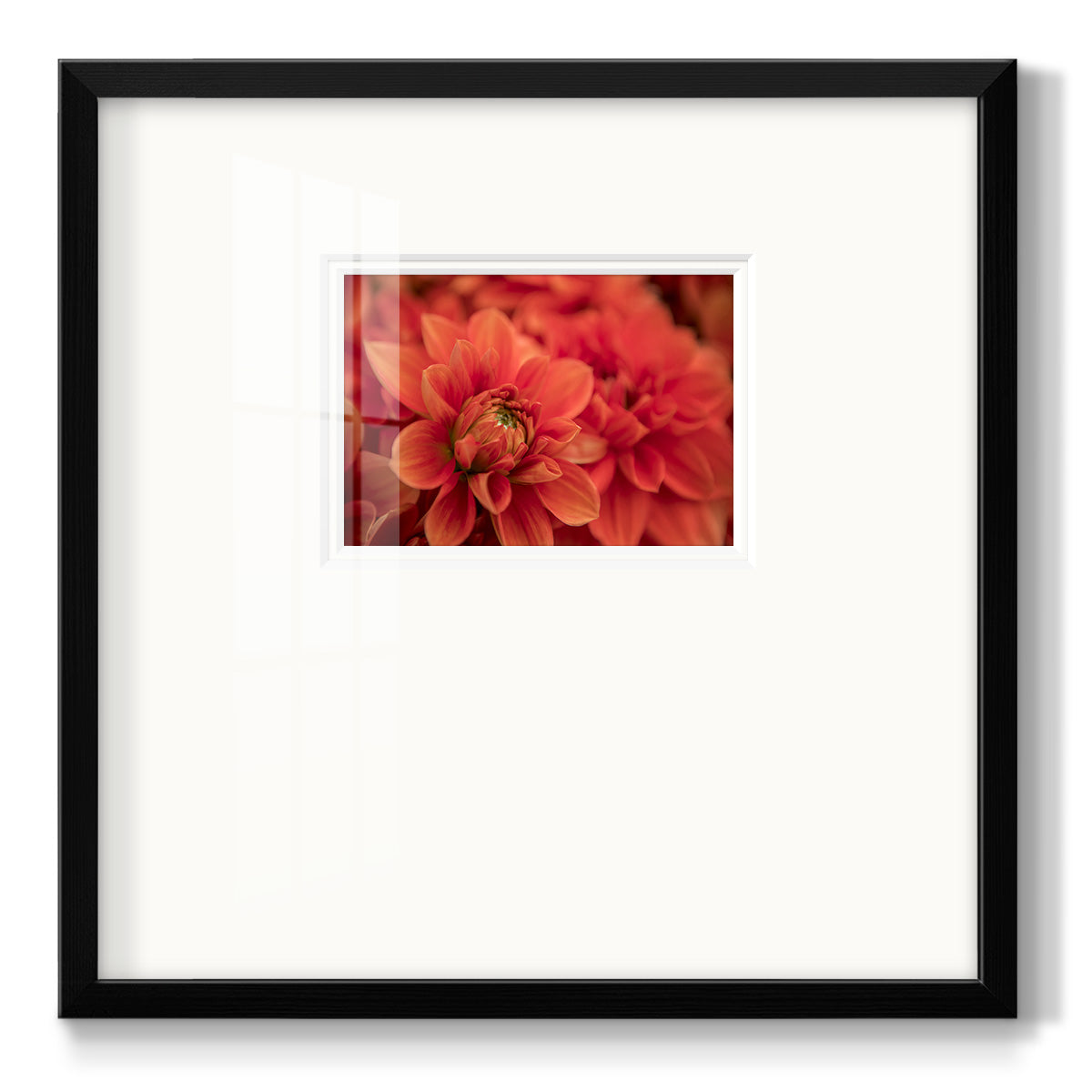 Spring Fire - Double Matboard Framed Print