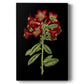 Crimson Flowers on Black (A) IV - Canvas Art Print