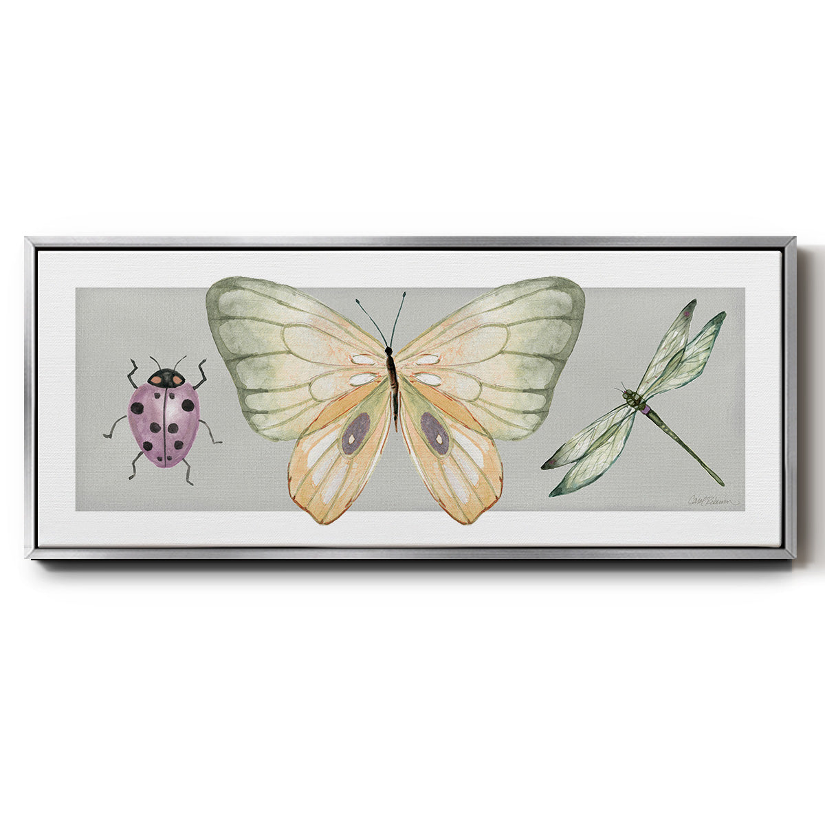 Pretty Insects I - Floater Framed Canvas Print