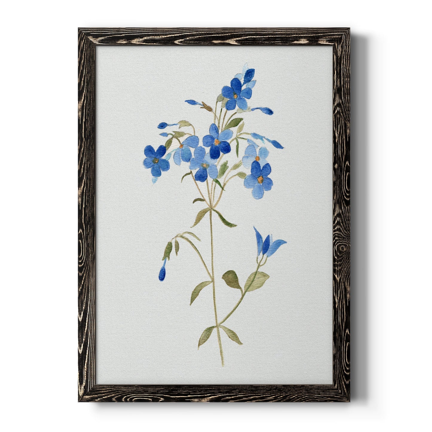 Blue Blossom Botanical II - Barnwood Framed Canvas Print