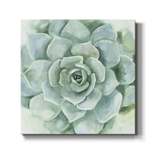 Verdant Succulent I-Premium Gallery Wrapped Canvas - Ready to Hang